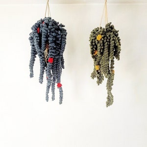 PATTERN - Small Fern Vine, Easy Crochet Guide, Step by Step, Make your own Plant and Macrame Hanger
