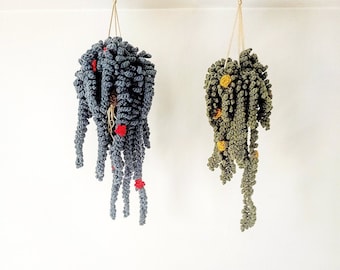 PATTERN - Small Fern Vine, Easy Crochet Guide, Step by Step, Make your own Plant and Macrame Hanger