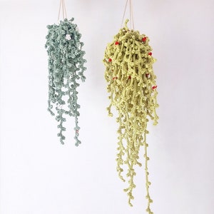 PATTERN - String of Pearls Vine, Easy Crochet Guide, Step by Step, Make your own Plant and Macrame Hanger