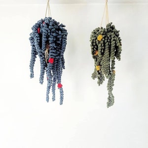 PATTERN All 5 Vines, Easy Crochet Guide, Step by Step, Make your own Plants and Macrame Hanger image 4