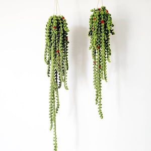 May include: Two hanging green plants with red berries. The plants are crocheted and have a cascading, trailing shape.