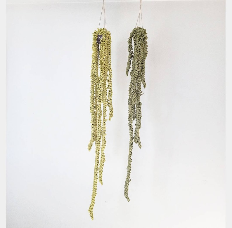 PATTERN All 5 Vines, Easy Crochet Guide, Step by Step, Make your own Plants and Macrame Hanger image 5