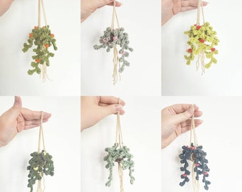 Mini Crochet Hanging Flower Planter - Cute Succulent Plant with Macrame Hanger