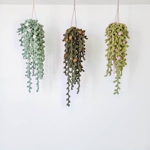 Planta de enredadera colgante tejida a crochet con percha de macramé, cadena de perlas, decoración vegetal para el hogar, linda suculenta de peluche