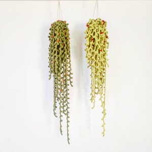 May include: Two crocheted hanging plants with green and yellow yarn and red beads. The plants are hanging from white strings against a white background.