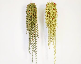 Crocheted Hanging Vine Plant with Macrame Hanger, String of Pearls, Plant Home Decor, Cute Plush Succulent