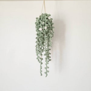May include: A crocheted hanging plant with green leaves and white flowers. The plant is hanging from a white ceiling.