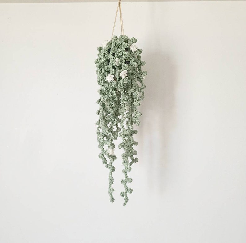 May include: A crocheted hanging plant with green leaves and white flowers. The plant is hanging from a white ceiling.