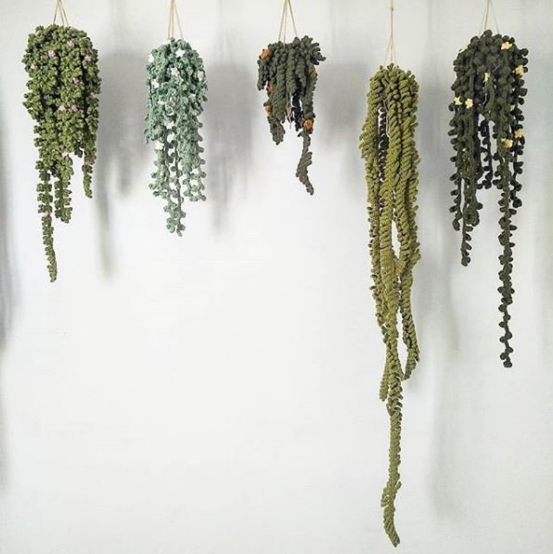 PATTERN - All 5 Vines, Easy Crochet Guide, Step by Step, Make your own Plants and Macrame Hanger 