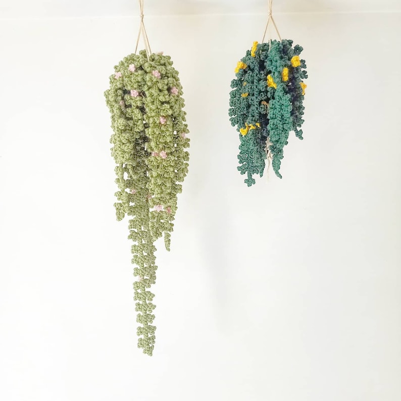 PATTERN All 5 Vines, Easy Crochet Guide, Step by Step, Make your own Plants and Macrame Hanger image 2