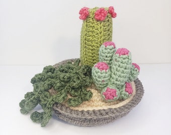 PATTERN - Crochet Cactus and Succulent Garden, with Video Tutorial