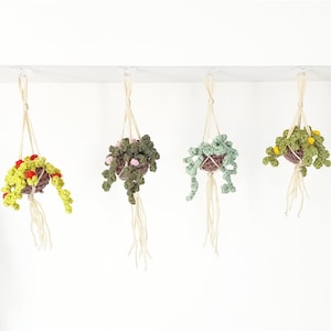 PATTERN Mini Hanging Vine, Easy Crochet Guide, Step by Step, Make your own Plants and Macrame Hanger image 2