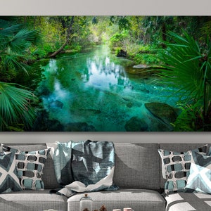Rock Springs, Florida, Nature, Water, Large Wall Print, Fine Art Photography - &quot;Hidden Retreat&quot;