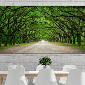 Wormsloe Plantation, Georgia, Oak Trees, Nature, Large Wall Print, Fine Art Photography - &quot;The Green Mile&quot;