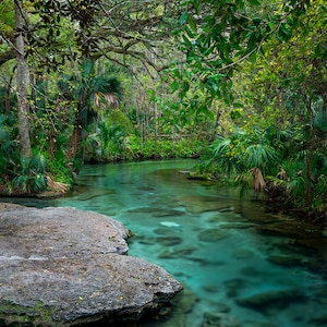 Kelly Park, Rock Springs, Florida Photography, Water Scene, Nature, Landscape, Large Wall Print, Fine Art - &quot;Adventure Awaits&quot;