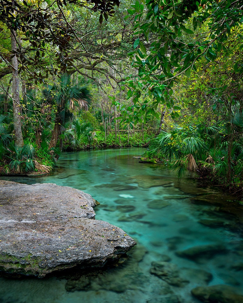 Kelly Park Rock Springs Florida Photography Water Scene Etsy
