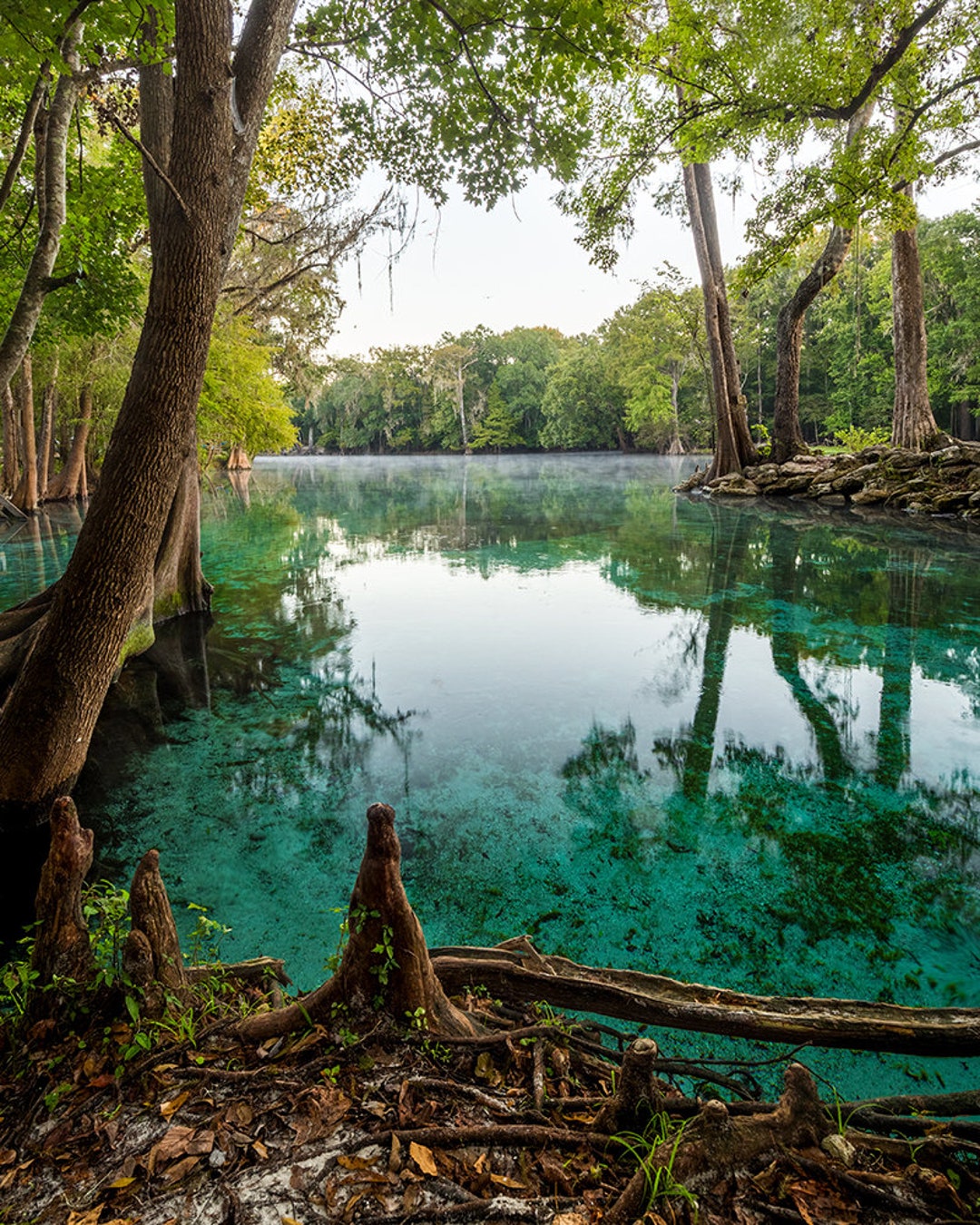 Ginnie Springs