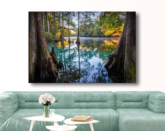 May include: A large canvas print depicting a tranquil lake scene with turquoise water and trees. The trees are reflected in the water. The artwork is displayed above a teal sofa and white coffee tables.