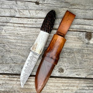 Morchel Pilz Futtersuche, Jagd, Camping Messer