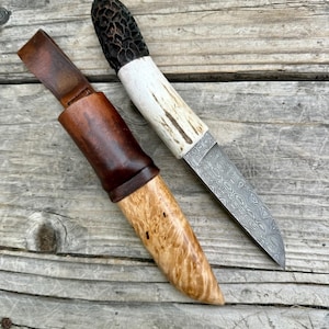 Morchel Pilz Futtersuche, Jagd, Camping Messer
