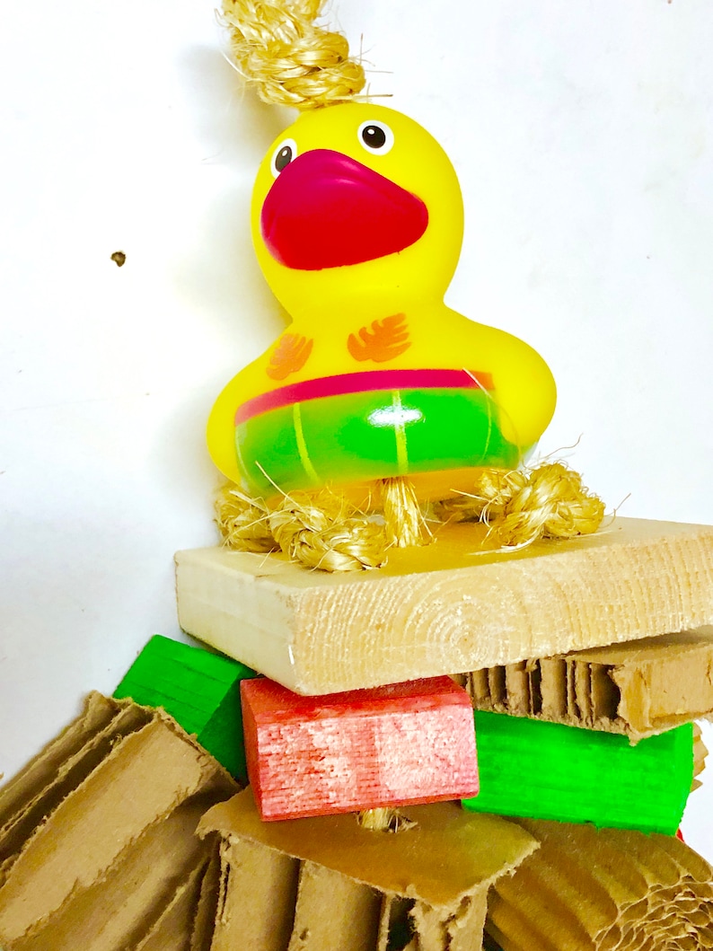 Pine Wood with Cardboard blocks Parrot toy