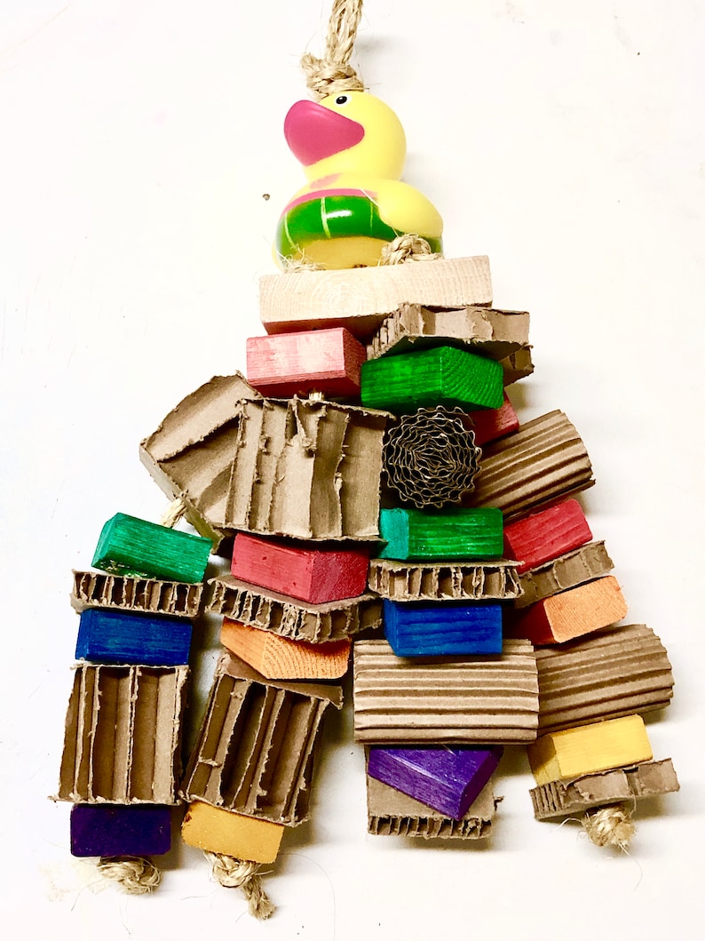 Pine Wood with Cardboard blocks Parrot toy