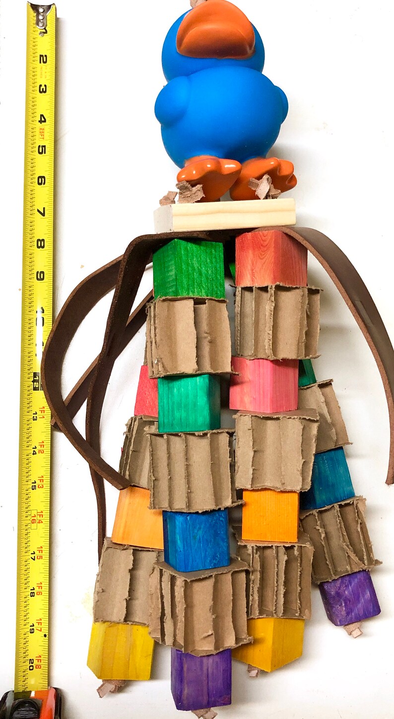 Pine Wood with Cardboard blocks Parrot toy