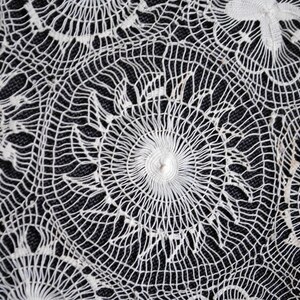 May include: Close-up of white lace fabric with a detailed, openwork design. The lace features circular and floral patterns against a dark background. The intricate texture and delicate craftsmanship are highlighted.