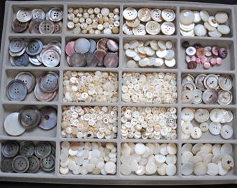 Può includere: Un vassoio grigio diviso pieno di bottoni di varie dimensioni e colori. I bottoni vanno da piccole perle a dischi più grandi a forma di conchiglia. I colori includono bianco, marrone e tonalità iridescenti.