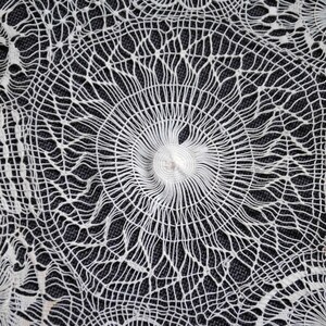 May include: Close-up of a white, intricately designed lace doily. The delicate textile features a central circular pattern with radiating lines and floral-like details around the edges. The lace is set against a dark background.