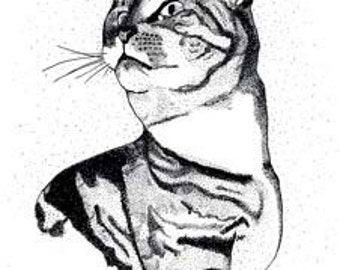 Black and White Cat Artwork Print