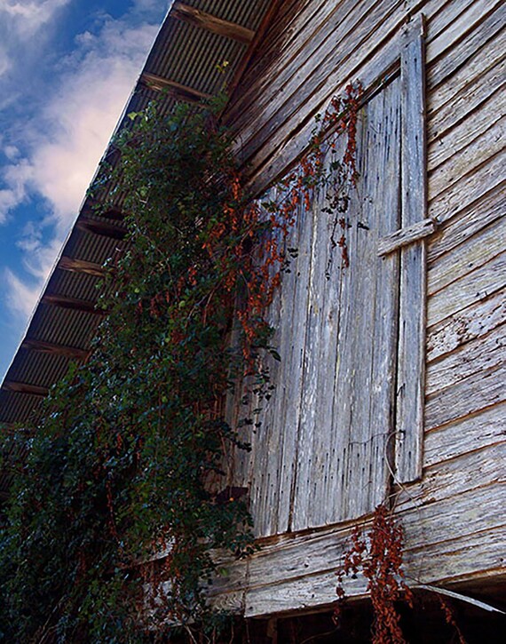 Vintage Weathered Barn Hay Loft Door Digital Download Photo Etsy
