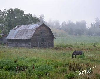 Foggy Barn in North Carolina DIGITAL download Photo Photograph Vintage gray Rustic Poster Wall Art Country Art Green