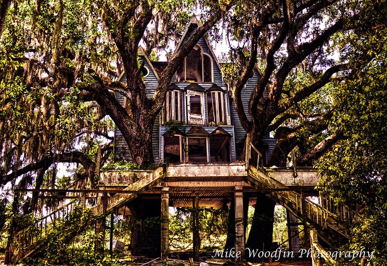 Brooksville Treehouse Photograph Photo DIGITAL HDR Picture Etsy