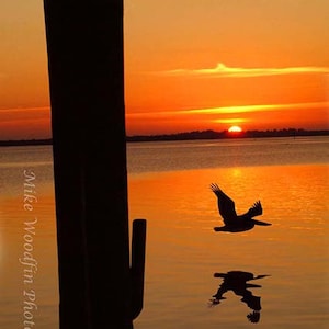 Sunrise Indian River Sebstian, Florida Pelican Shadow DIGITAL download Photo Picture Poster Wall Art sunset Orange Reflection Vintage Bird