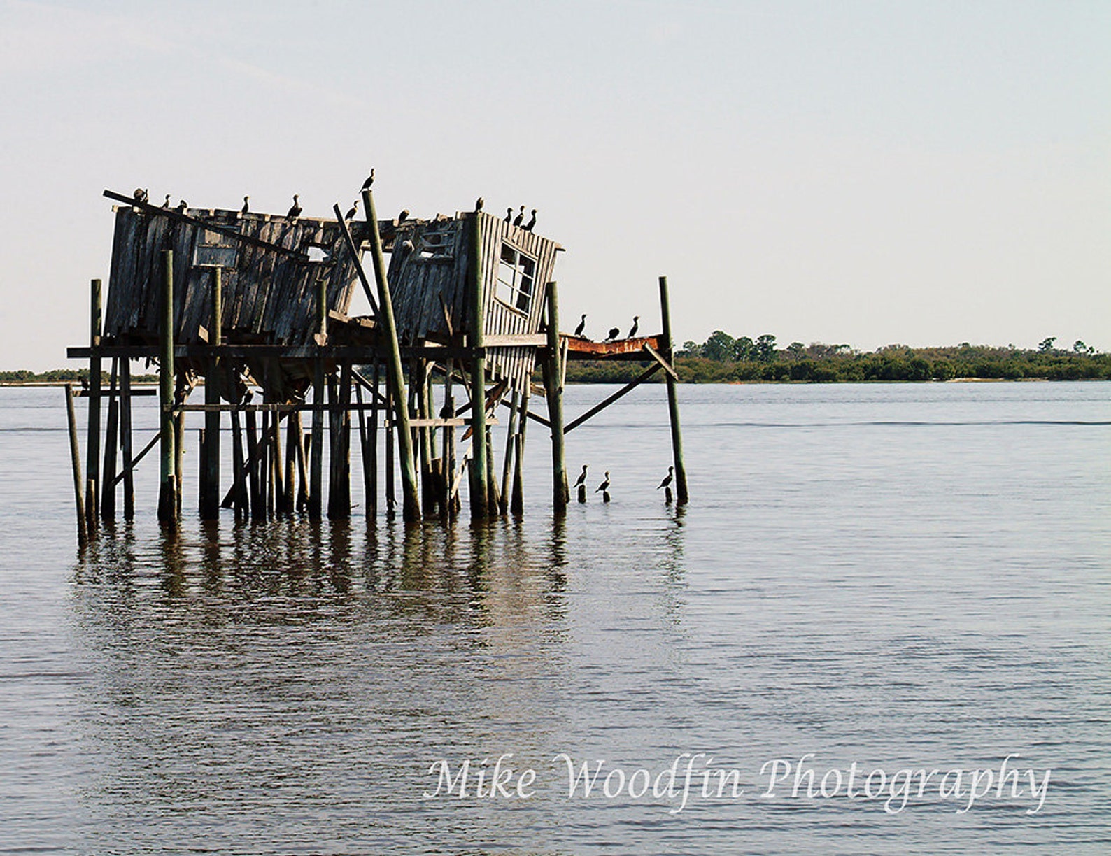 Vintage Photo of Honeymoon Cottage Cedar Key, Florida Photograph