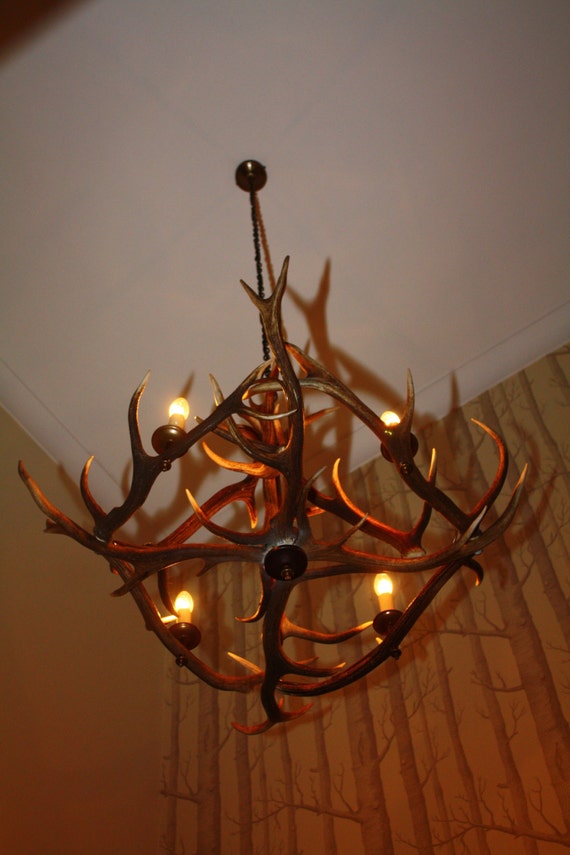 Antler chandelier scotland