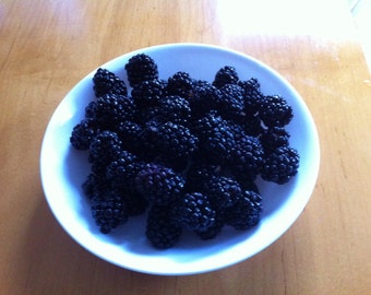May include: A white ceramic bowl filled with a heap of fresh, dark purple blackberries. The individual berries feature a bumpy, textured surface and are clustered together, creating a dense pile of fruit within the round, smooth-edged container.