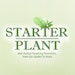 Owner of <a href='https://www.etsy.com/shop/StarterPlant?ref=l2-about-shopname&from_page=listing' class='wt-text-link'>StarterPlant</a>