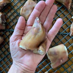 Pode incluir: Um close-up de uma m&atilde;o segurando uma pata de porco. A pata de porco &eacute; marrom e tem uma textura &aacute;spera. H&aacute; outras patas de porco no fundo em uma grade de arame.