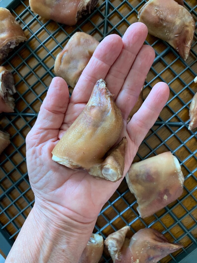 Pode incluir: Um close-up de uma m&atilde;o segurando uma pata de porco. A pata de porco &eacute; marrom e tem uma textura &aacute;spera. H&aacute; outras patas de porco no fundo em uma grade de arame.