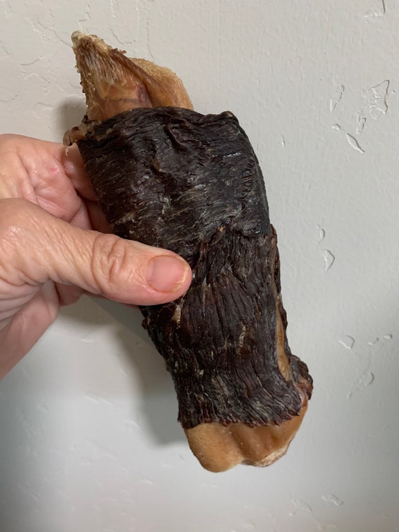 Can Dogs Eat Pig Feet