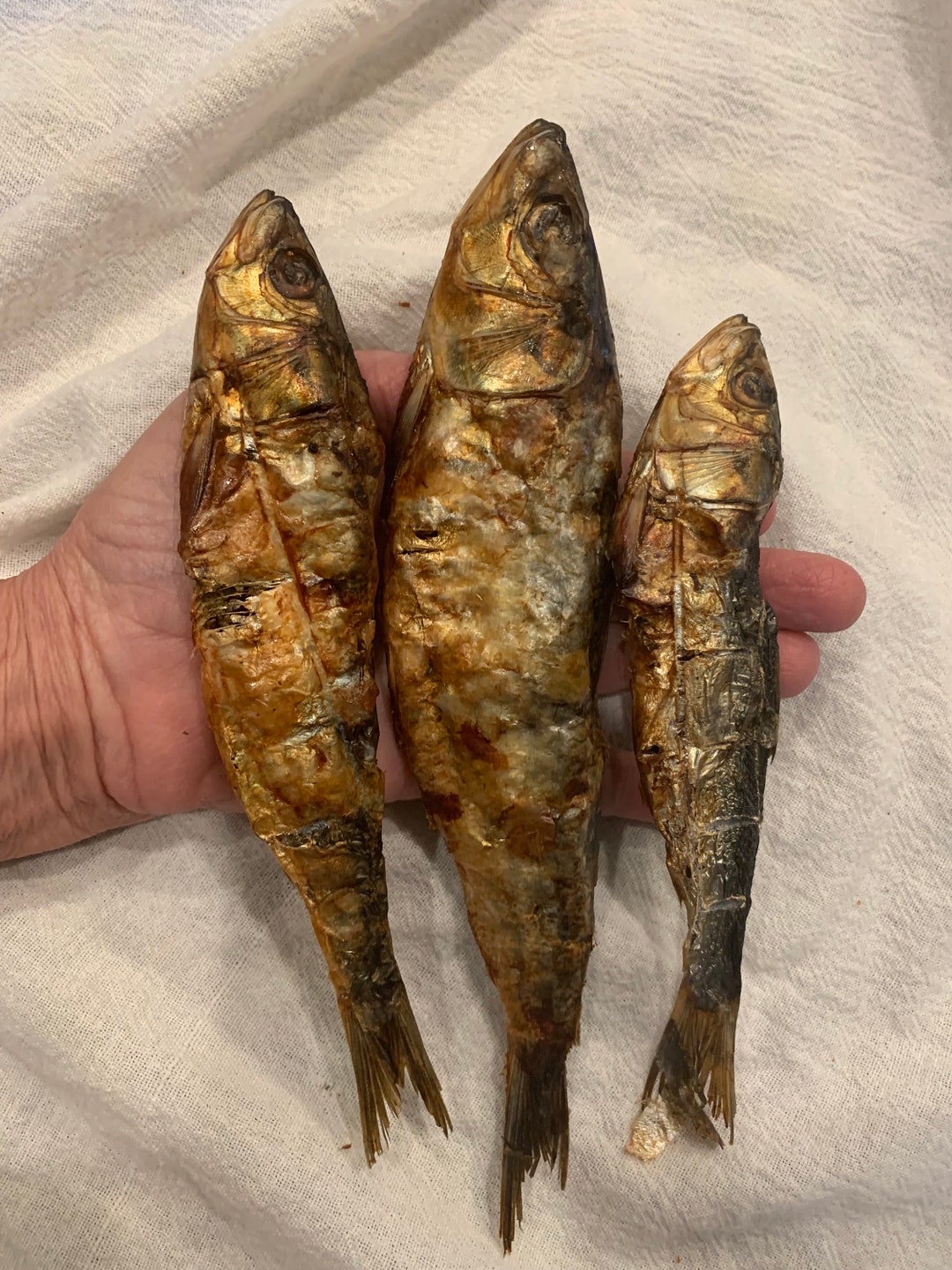 SARDEENZ Jumbo Sardines, Dried Fish Treats for Cats, Dogs, Ferrets Etsy