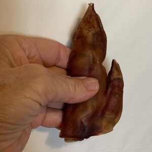 Pode incluir: Uma pata de porco marrom, um popular petisco para mastigar para c&atilde;es, &eacute; segurada em uma m&atilde;o. A pata est&aacute; seca e tem uma textura &aacute;spera.