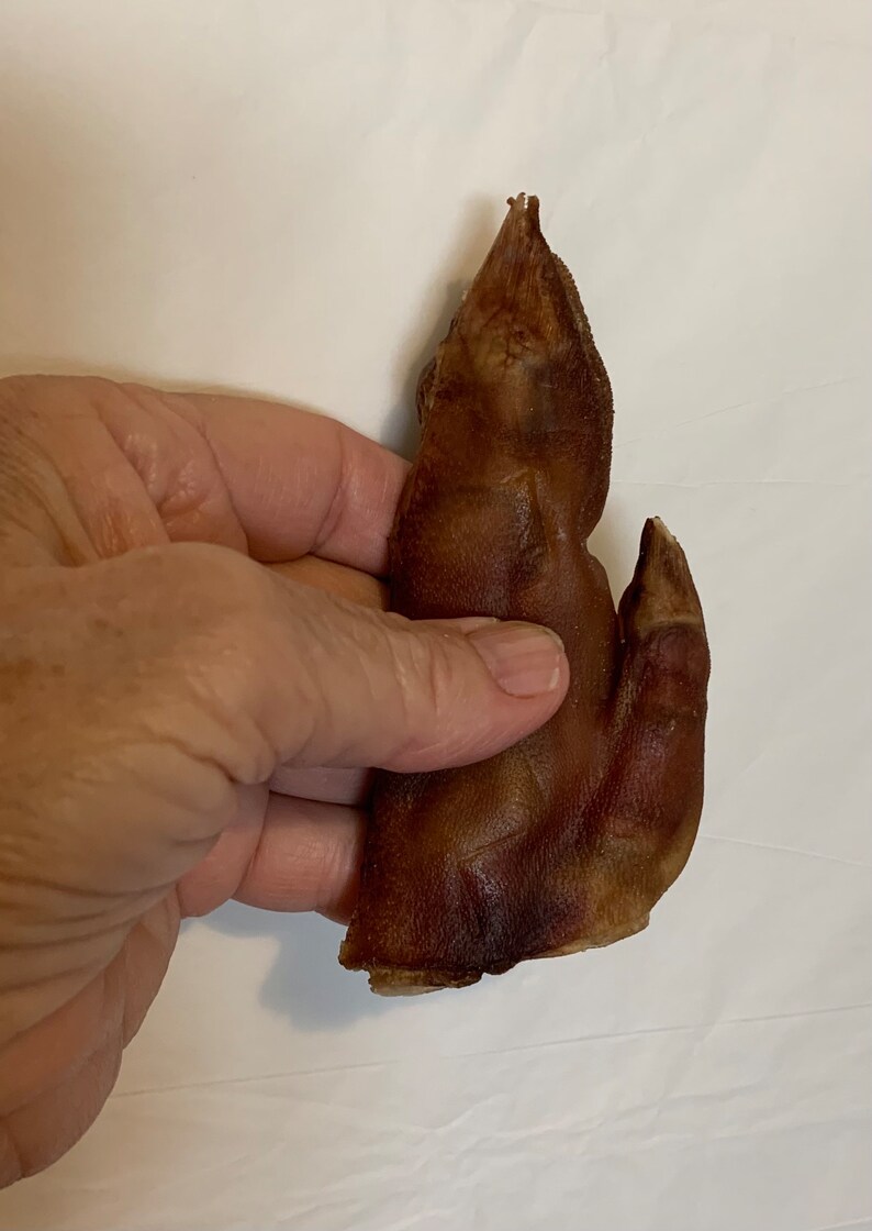 Pode incluir: Uma pata de porco marrom, um popular petisco para mastigar para c&atilde;es, &eacute; segurada em uma m&atilde;o. A pata est&aacute; seca e tem uma textura &aacute;spera.