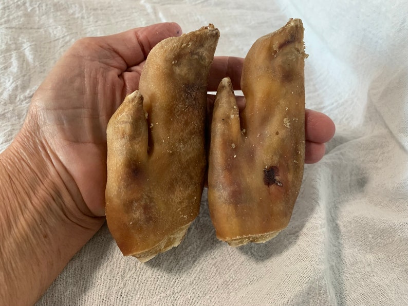 Pode incluir: Dois p&eacute;s de porco marrons, tamb&eacute;m conhecidos como p&eacute;s de porco, s&atilde;o segurados em uma m&atilde;o. Os p&eacute;s s&atilde;o crus e n&atilde;o foram cozidos.