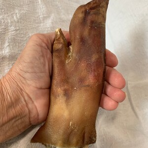 Pode incluir: Um p&eacute; de porco, um ingrediente popular em muitas cozinhas. O p&eacute; &eacute; castanho e tem uma textura &aacute;spera. Est&aacute; sendo segurado na m&atilde;o de uma pessoa.