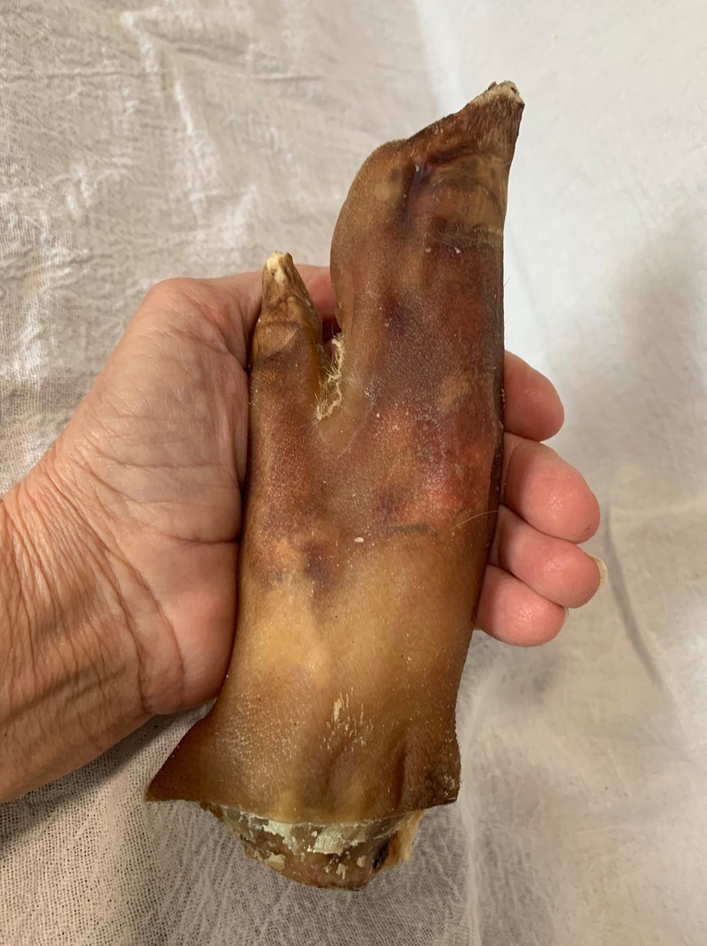 Pode incluir: Um p&eacute; de porco, um ingrediente popular em muitas cozinhas. O p&eacute; &eacute; castanho e tem uma textura &aacute;spera. Est&aacute; sendo segurado na m&atilde;o de uma pessoa.