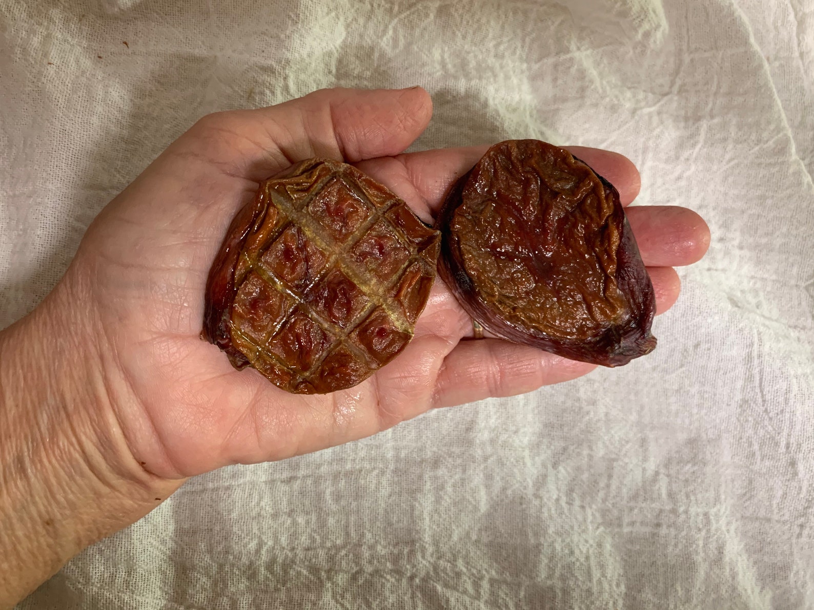 BULLZBALLZ BullCow testicles dried raw. Treat for dogs Etsy