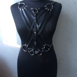 Harness mit Schnallen, Harness für den Rücken, Harness für die Brust